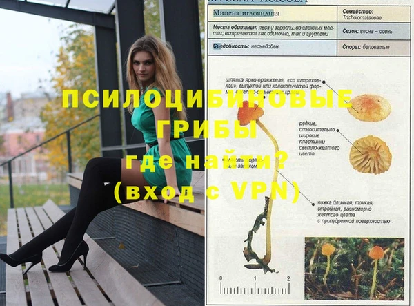 эйфоретик Алексеевка