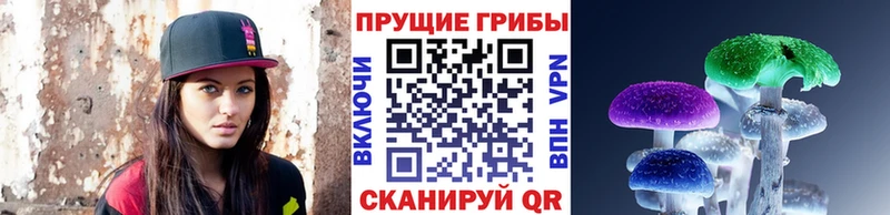 Галлюциногенные грибы Cubensis  Закаменск 